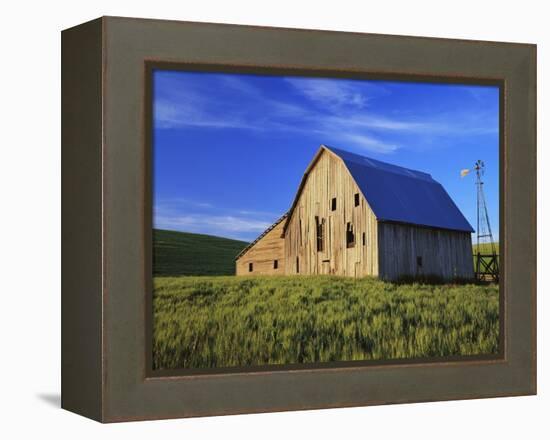 Old Barn and Spring Wheat Field-Terry Eggers-Framed Premier Image Canvas