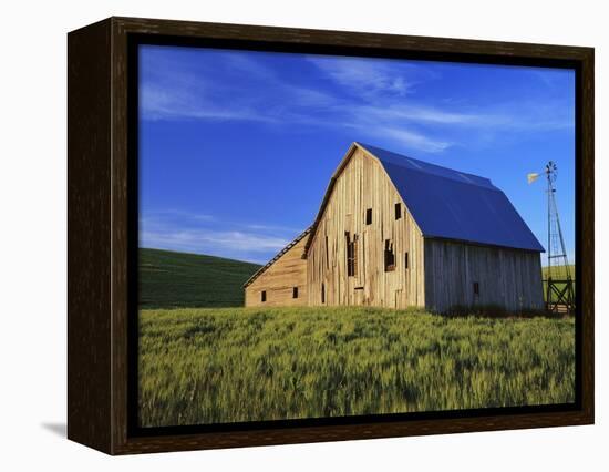 Old Barn and Spring Wheat Field-Terry Eggers-Framed Premier Image Canvas