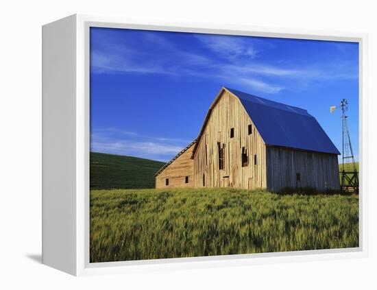 Old Barn and Spring Wheat Field-Terry Eggers-Framed Premier Image Canvas