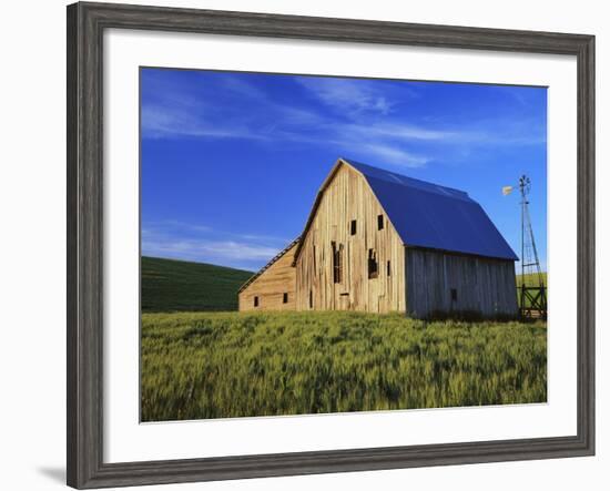 Old Barn and Spring Wheat Field-Terry Eggers-Framed Photographic Print