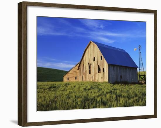 Old Barn and Spring Wheat Field-Terry Eggers-Framed Photographic Print