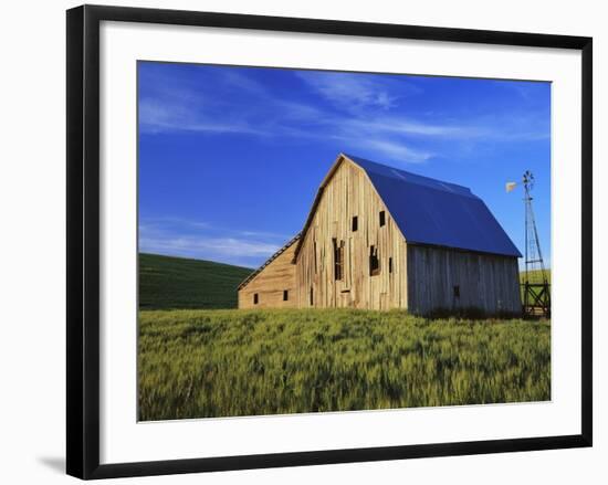 Old Barn and Spring Wheat Field-Terry Eggers-Framed Photographic Print