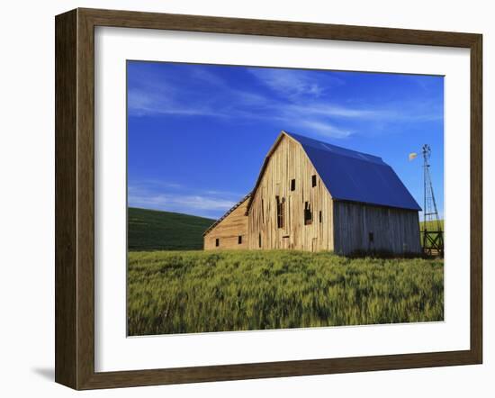 Old Barn and Spring Wheat Field-Terry Eggers-Framed Photographic Print