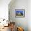 Old Barn and Spring Wheat Field-Terry Eggers-Framed Photographic Print displayed on a wall