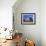 Old Barn and Spring Wheat Field-Terry Eggers-Framed Photographic Print displayed on a wall