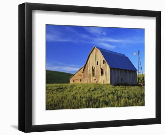 Old Barn and Spring Wheat Field-Terry Eggers-Framed Photographic Print