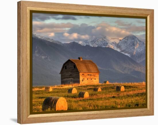 Old Barn Framed By Hay Bales, Mission Mountain Range, Montana, USA-Chuck Haney-Framed Premier Image Canvas