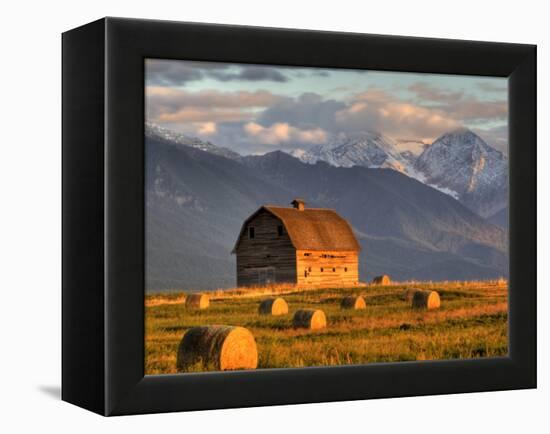 Old Barn Framed By Hay Bales, Mission Mountain Range, Montana, USA-Chuck Haney-Framed Premier Image Canvas