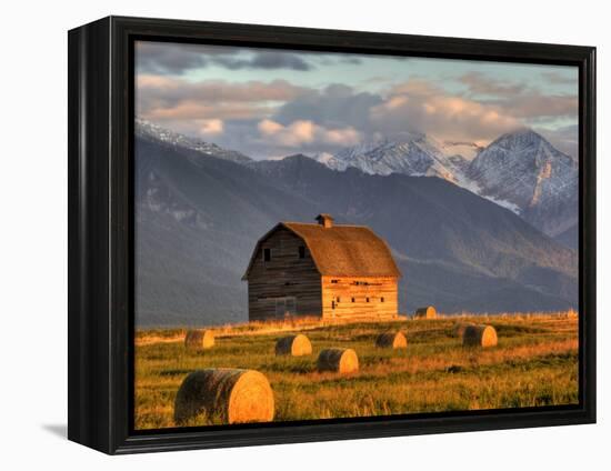 Old Barn Framed By Hay Bales, Mission Mountain Range, Montana, USA-Chuck Haney-Framed Premier Image Canvas