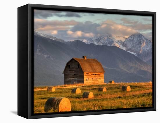 Old Barn Framed By Hay Bales, Mission Mountain Range, Montana, USA-Chuck Haney-Framed Premier Image Canvas