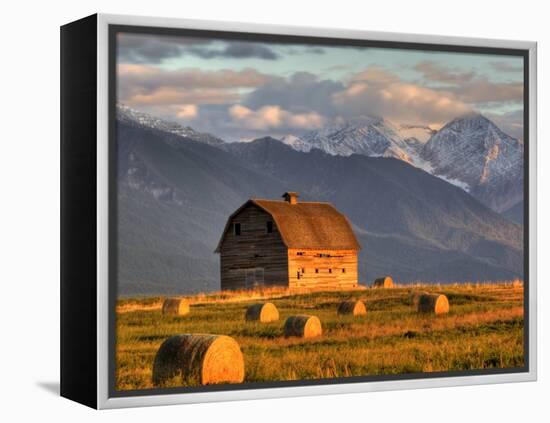 Old Barn Framed By Hay Bales, Mission Mountain Range, Montana, USA-Chuck Haney-Framed Premier Image Canvas