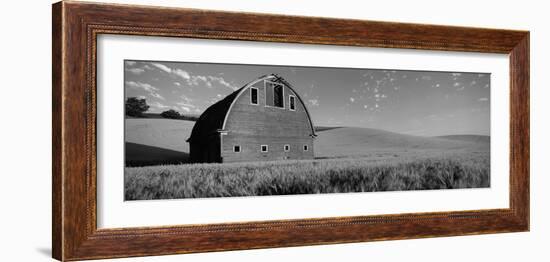 Old Barn in a Wheat Field, Palouse, Whitman County, Washington State, USA-null-Framed Photographic Print