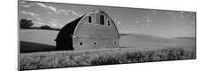Photographic Print