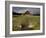 Old Barn in Antelope Flats, Grand Teton National Park, Wyoming, USA-Rolf Nussbaumer-Framed Photographic Print