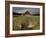 Old Barn in Antelope Flats, Grand Teton National Park, Wyoming, USA-Rolf Nussbaumer-Framed Photographic Print