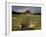 Old Barn in Antelope Flats, Grand Teton National Park, Wyoming, USA-Rolf Nussbaumer-Framed Photographic Print