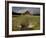 Old Barn in Antelope Flats, Grand Teton National Park, Wyoming, USA-Rolf Nussbaumer-Framed Photographic Print