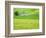 Old Barn in Green Agricultural Fields-Terry Eggers-Framed Photographic Print