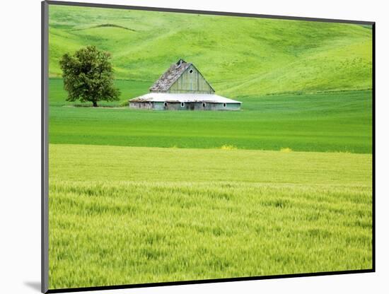 Old Barn in Green Agricultural Fields-Terry Eggers-Mounted Photographic Print