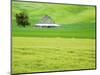 Old Barn in Green Agricultural Fields-Terry Eggers-Mounted Photographic Print