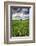 Old Barn in Spring Wheat Field with Beautiful Clouds-Terry Eggers-Framed Photographic Print