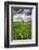 Old Barn in Spring Wheat Field with Beautiful Clouds-Terry Eggers-Framed Photographic Print