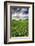 Old Barn in Spring Wheat Field with Beautiful Clouds-Terry Eggers-Framed Photographic Print