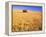 Old Barn in Wheat Field, Eastern Washington-Darrell Gulin-Framed Premier Image Canvas