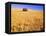 Old Barn in Wheat Field, Eastern Washington-Darrell Gulin-Framed Premier Image Canvas