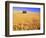 Old Barn in Wheat Field, Eastern Washington-Darrell Gulin-Framed Photographic Print