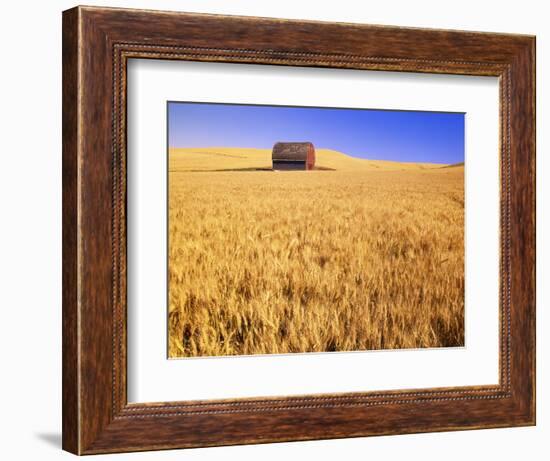 Old Barn in Wheat Field, Eastern Washington-Darrell Gulin-Framed Photographic Print