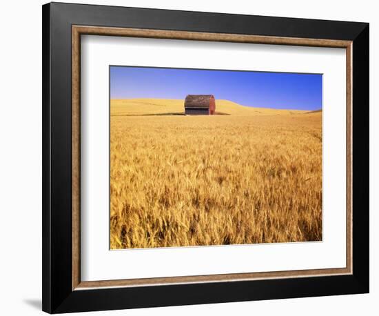 Old Barn in Wheat Field, Eastern Washington-Darrell Gulin-Framed Photographic Print