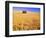 Old Barn in Wheat Field, Eastern Washington-Darrell Gulin-Framed Photographic Print