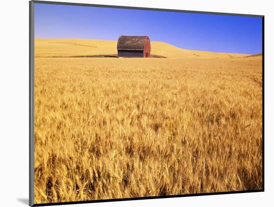Old Barn in Wheat Field, Eastern Washington-Darrell Gulin-Mounted Photographic Print