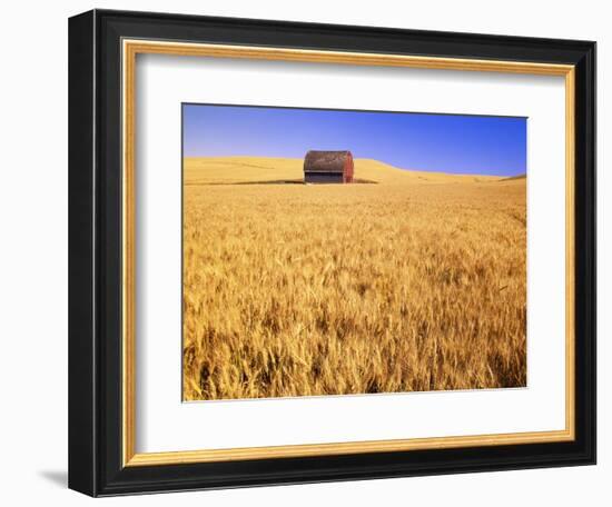Old Barn in Wheat Field, Eastern Washington-Darrell Gulin-Framed Photographic Print