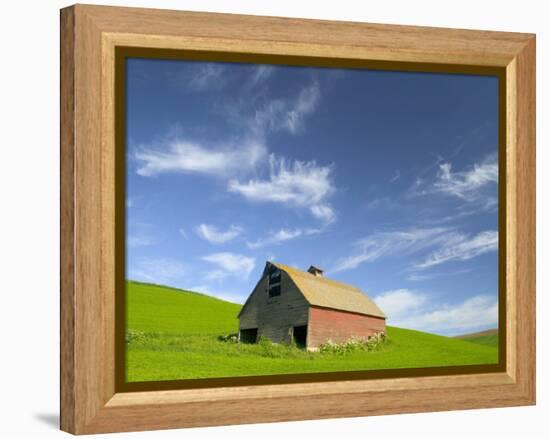 Old Barn in Wheat Field in Eastern Washington-Darrell Gulin-Framed Premier Image Canvas