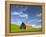 Old Barn in Wheat Field in Eastern Washington-Darrell Gulin-Framed Premier Image Canvas