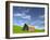 Old Barn in Wheat Field in Eastern Washington-Darrell Gulin-Framed Photographic Print