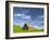 Old Barn in Wheat Field in Eastern Washington-Darrell Gulin-Framed Photographic Print