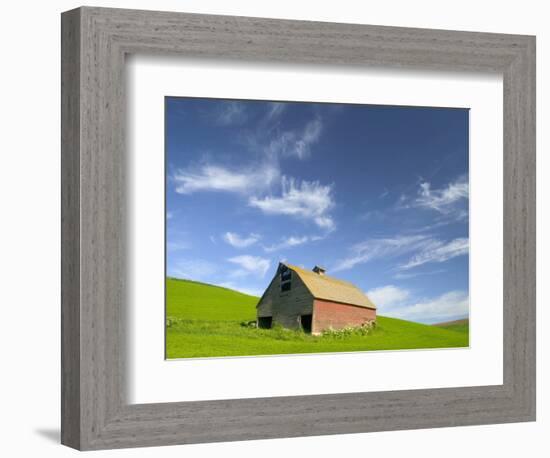 Old Barn in Wheat Field in Eastern Washington-Darrell Gulin-Framed Photographic Print