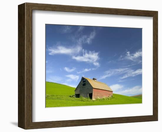 Old Barn in Wheat Field in Eastern Washington-Darrell Gulin-Framed Photographic Print