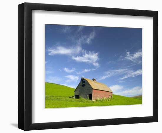 Old Barn in Wheat Field in Eastern Washington-Darrell Gulin-Framed Photographic Print