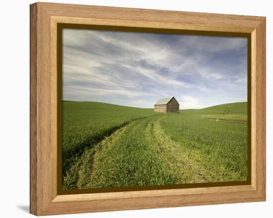 Old Barn in Wheat Field-Terry Eggers-Framed Premier Image Canvas