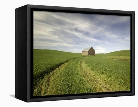 Old Barn in Wheat Field-Terry Eggers-Framed Premier Image Canvas