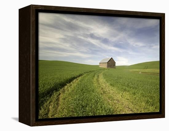 Old Barn in Wheat Field-Terry Eggers-Framed Premier Image Canvas