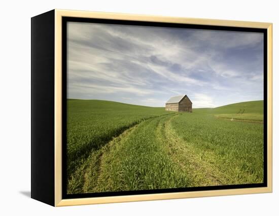 Old Barn in Wheat Field-Terry Eggers-Framed Premier Image Canvas