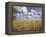 Old Barn in Wheat Field-Benjamin Rondel-Framed Premier Image Canvas