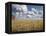 Old Barn in Wheat Field-Benjamin Rondel-Framed Premier Image Canvas