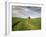 Old Barn in Wheat Field-Terry Eggers-Framed Photographic Print