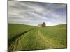 Old Barn in Wheat Field-Terry Eggers-Mounted Photographic Print